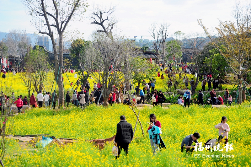 仓山：琼花玉岛绽风华 踔厉笃行再扬帆